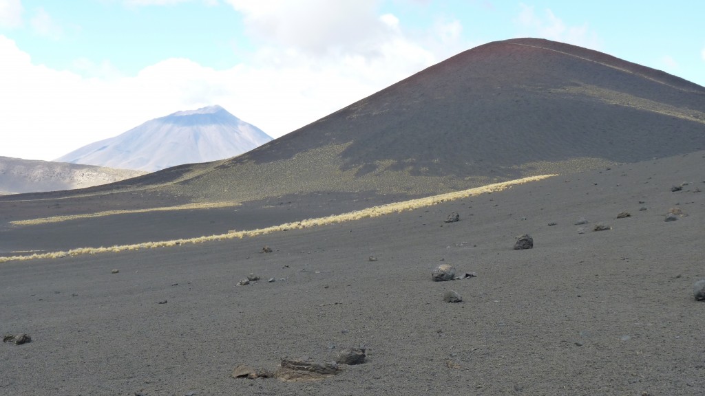 Foto: La Payunia - Malargüe (Mendoza), Argentina