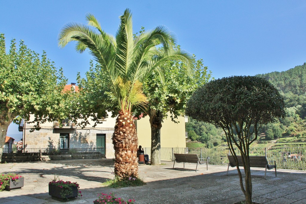 Foto: Centro histórico - Ribadavia (Ourense), España