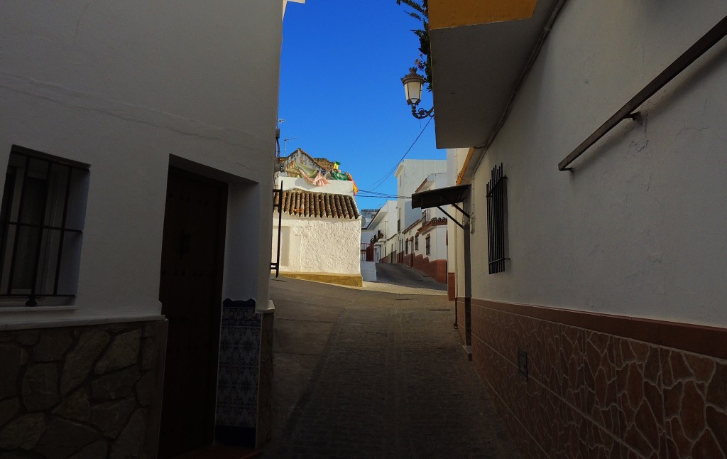 Foto: Callejón el jilguero - Paterna de la Rivera (Cádiz), España
