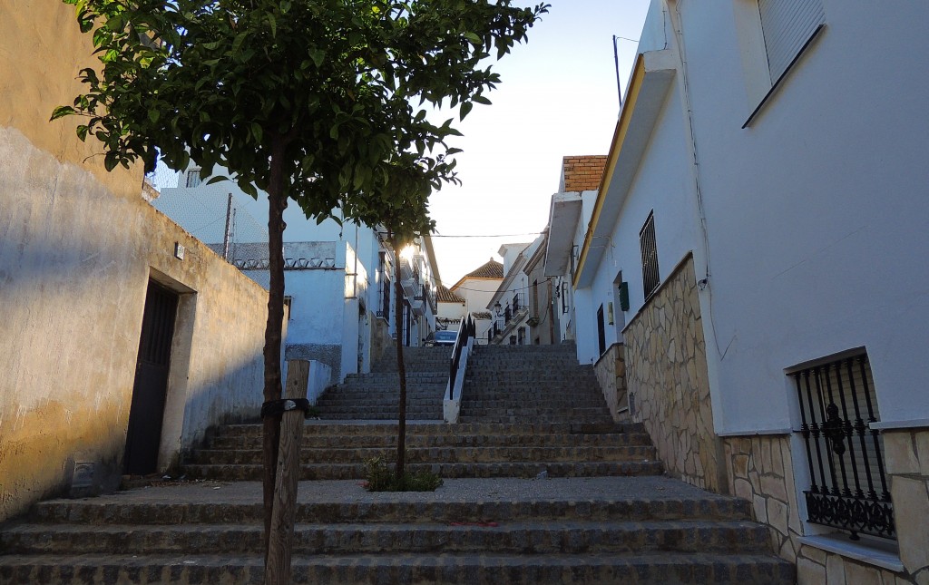 Foto: Callejón La Parrada - Paterna de la Rivera (Cádiz), España