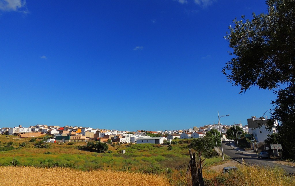 Foto: Desde la entrada - Paterna de la Rivera (Cádiz), España