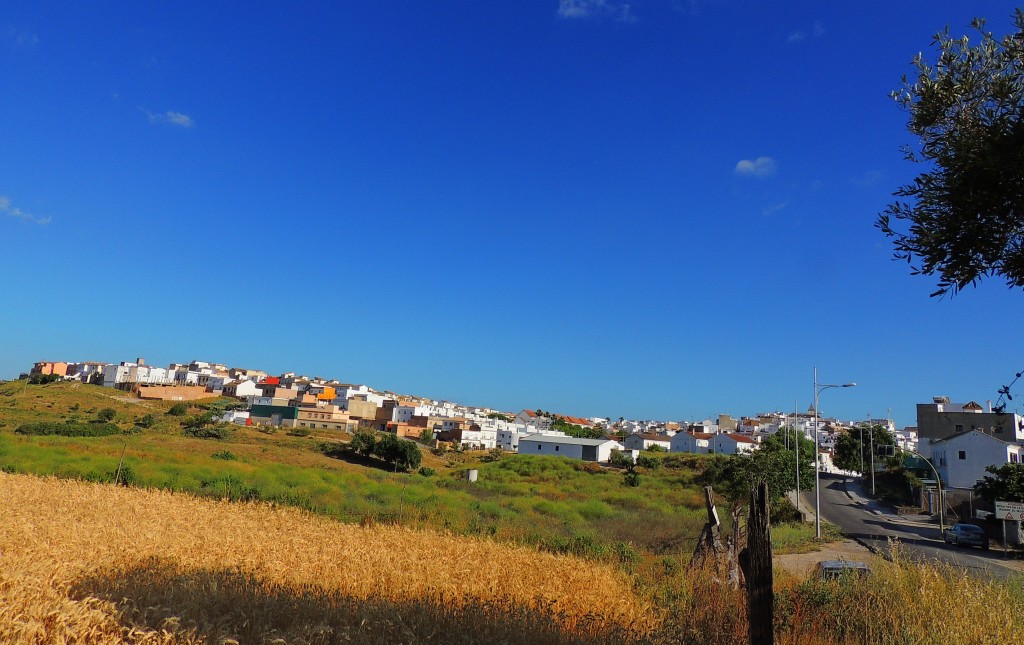 Foto: Vista Urbana - Paterna de la Rivera (Cádiz), España