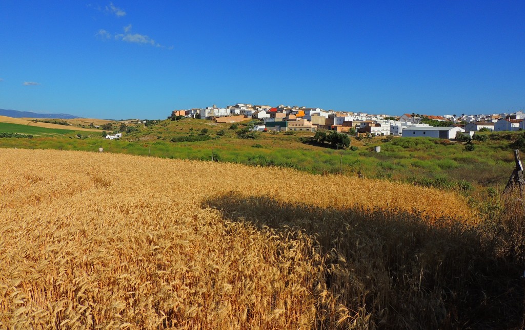 Foto: Panorámica - Paterna de la Rivera (Cádiz), España
