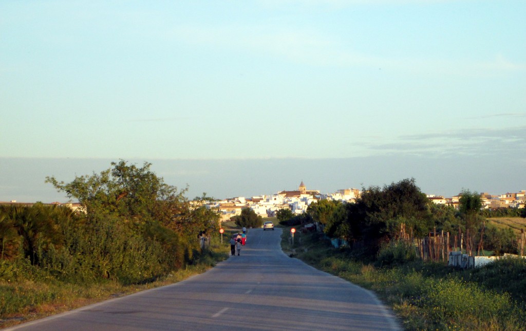 Foto: Carretera de Torreera - Paterna de la Rivera (Cádiz), España