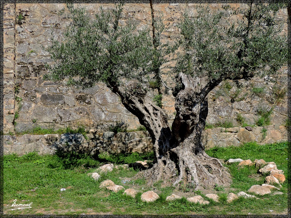 Foto: 140507-23 ARNEDILLO - Arnedillo (La Rioja), España