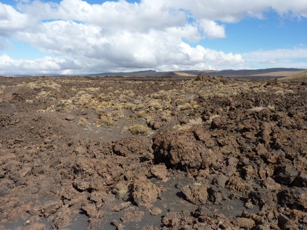 Foto: La Payunia. - Malargüe (Mendoza), Argentina