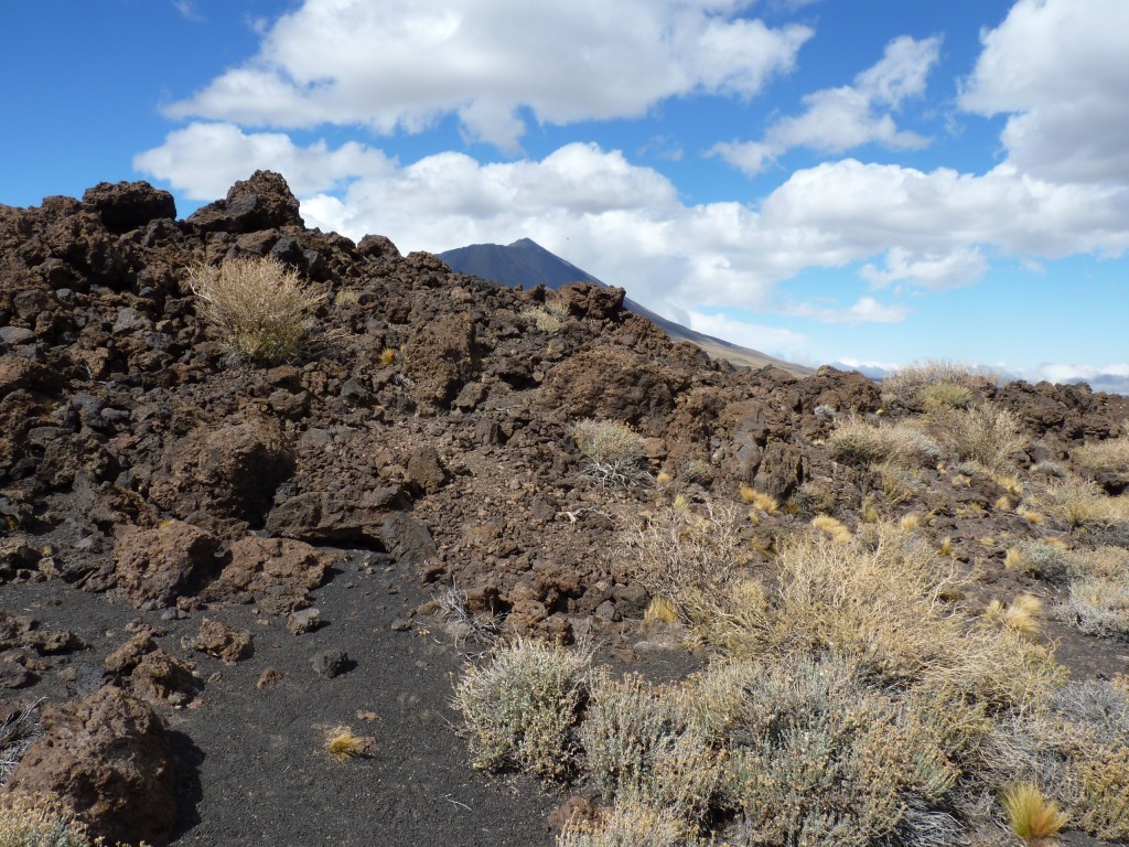 Foto: La Payunia. - Malargüe (Mendoza), Argentina