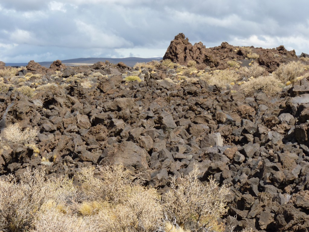 Foto: La Payunia. - Malargüe (Mendoza), Argentina