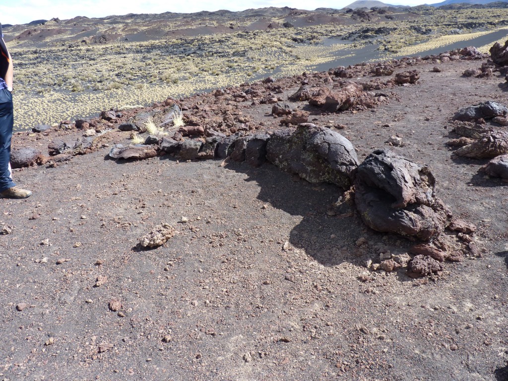 Foto: La Payunia. - Malargüe (Mendoza), Argentina