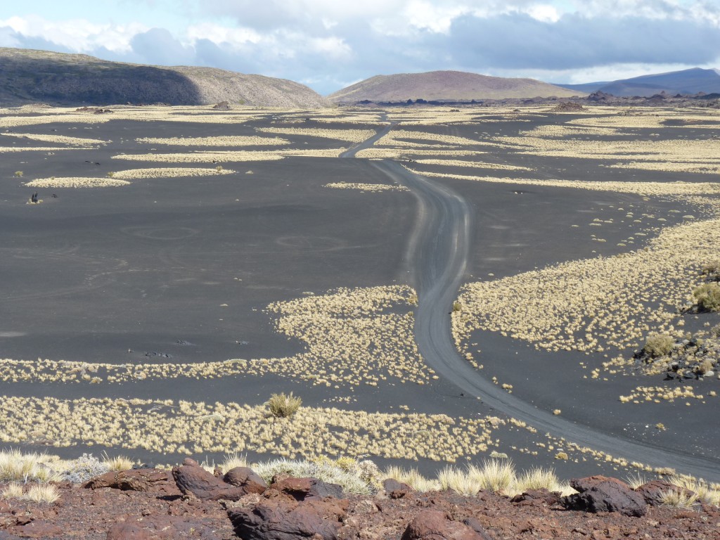Foto: La Payunia. - Malargüe (Mendoza), Argentina