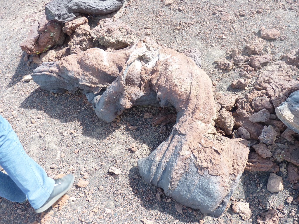 Foto: La Payunia. - Malargüe (Mendoza), Argentina