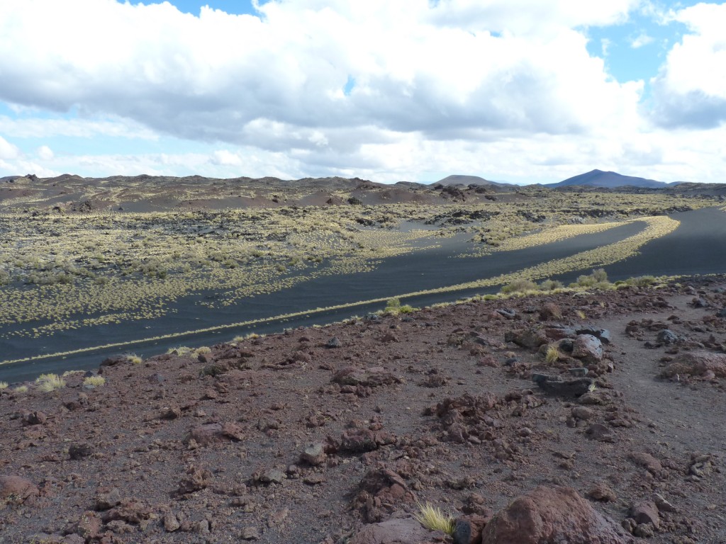 Foto: La Payunia. - Malargüe (Mendoza), Argentina
