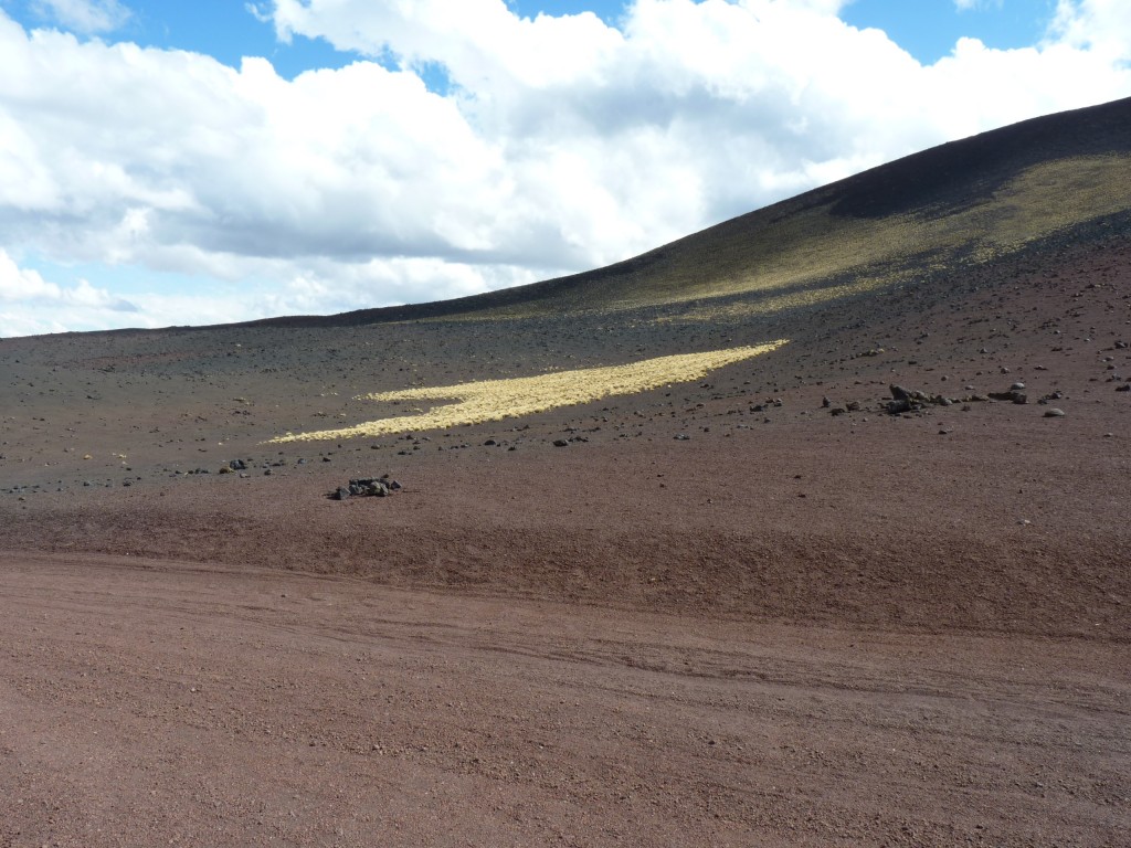 Foto: La Payunia. - Malargüe (Mendoza), Argentina