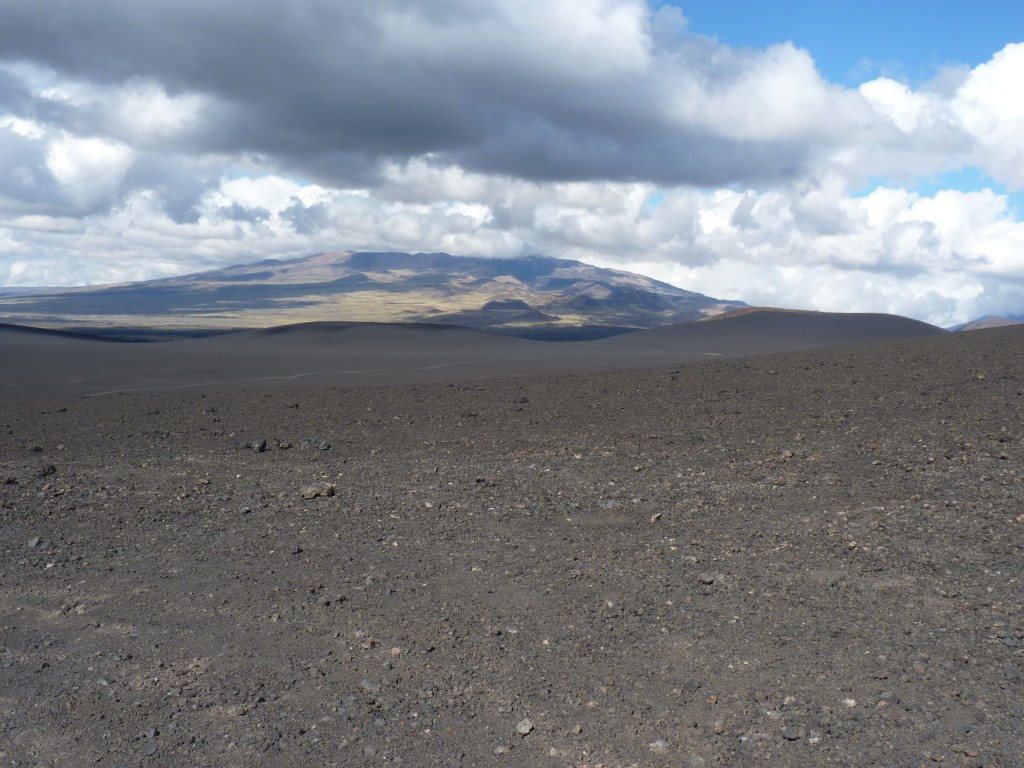 Foto: La Payunia. - Malargüe (Mendoza), Argentina