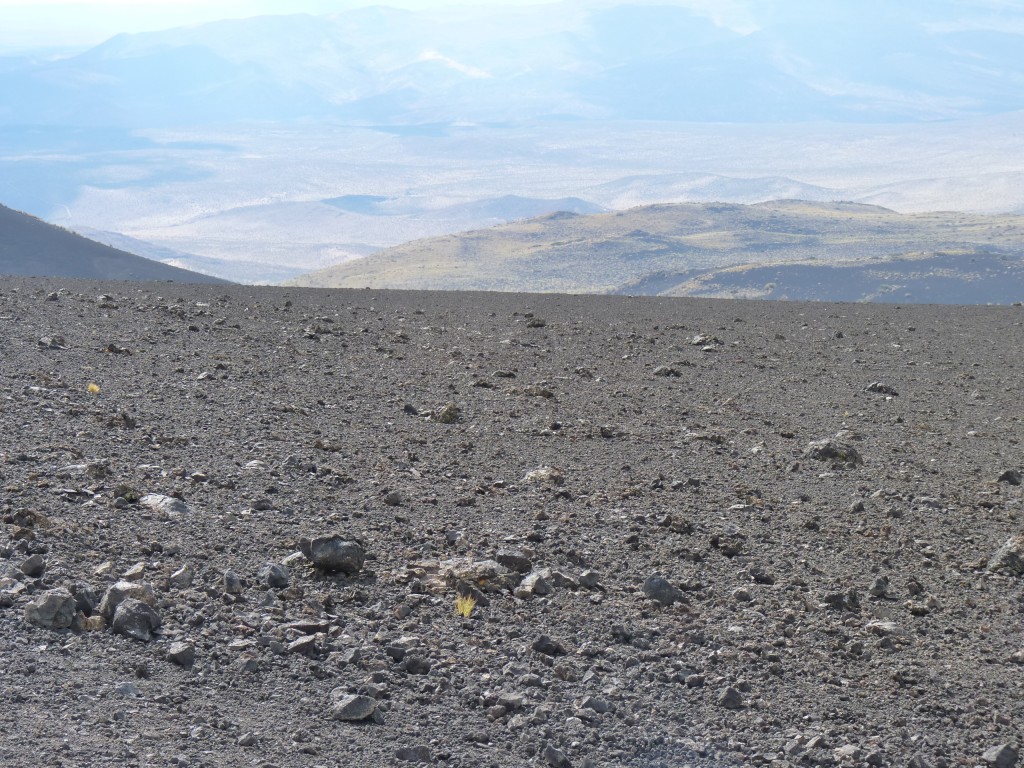 Foto: La Payunia. - Malargüe (Mendoza), Argentina