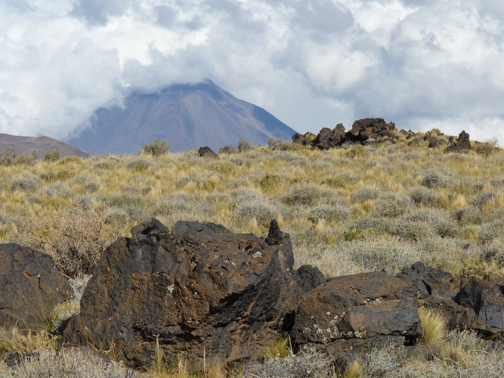 Foto: La Payunia. - Malargüe (Mendoza), Argentina
