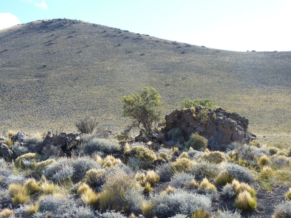 Foto: La Payunia. - Malargüe (Mendoza), Argentina