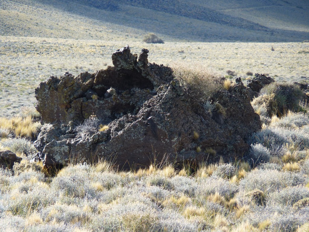 Foto: La Payunia. - Malargüe (Mendoza), Argentina