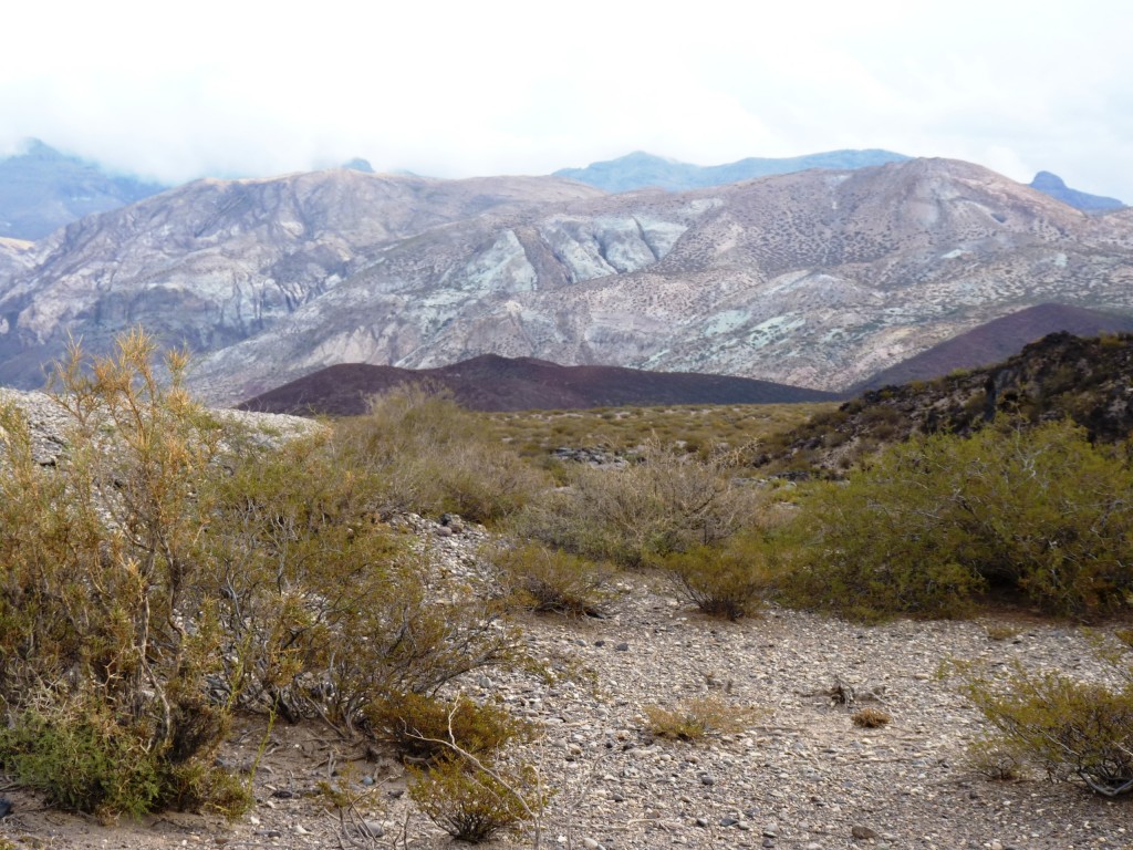 Foto: La Payunia. - Malargüe (Mendoza), Argentina