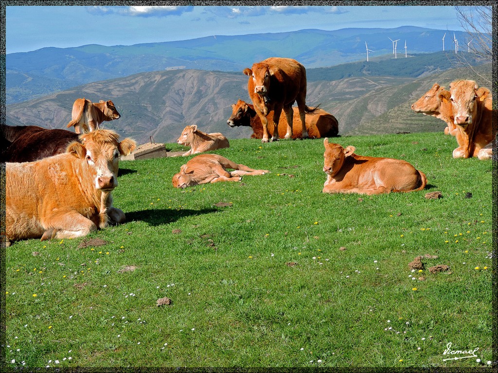 Foto: 140510-11 ARNEDILLO - Arnedillo (La Rioja), España
