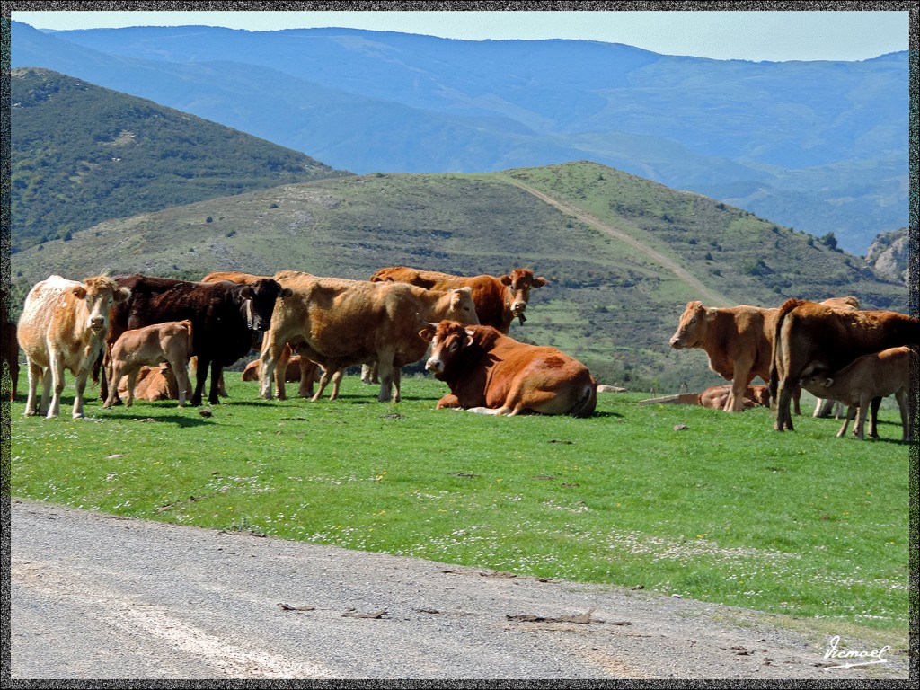 Foto: 140510-15 ARNEDILLO - Arnedillo (La Rioja), España
