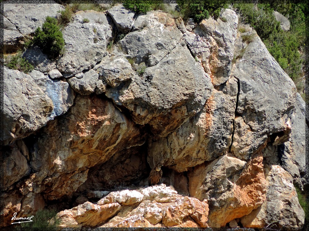 Foto: 140510-49 ARNEDILLO - Arnedillo (La Rioja), España