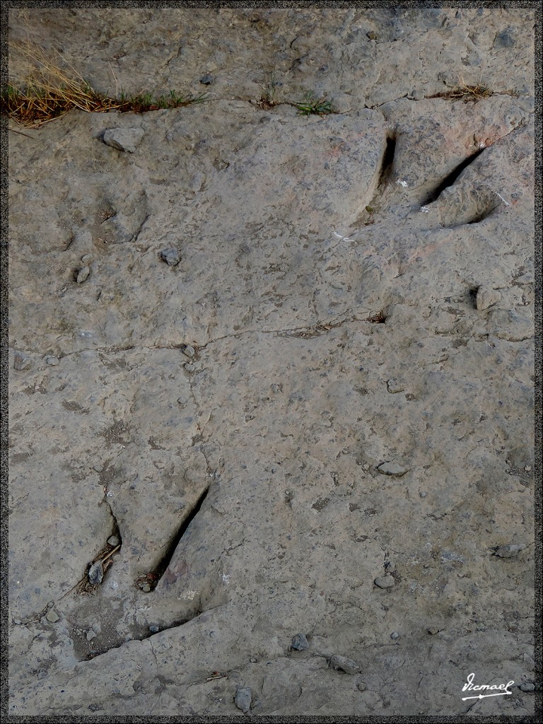 Foto: 140511-33 ENCISO - Enciso (La Rioja), España