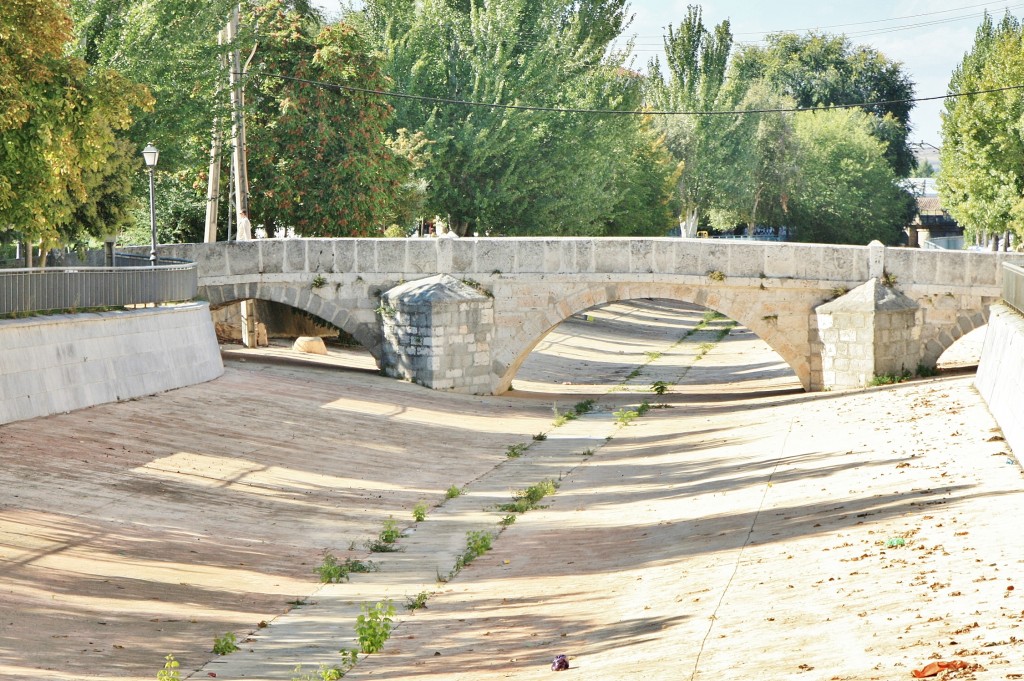 Foto: Rio Zapardiel - Medina del Campo (Valladolid), España