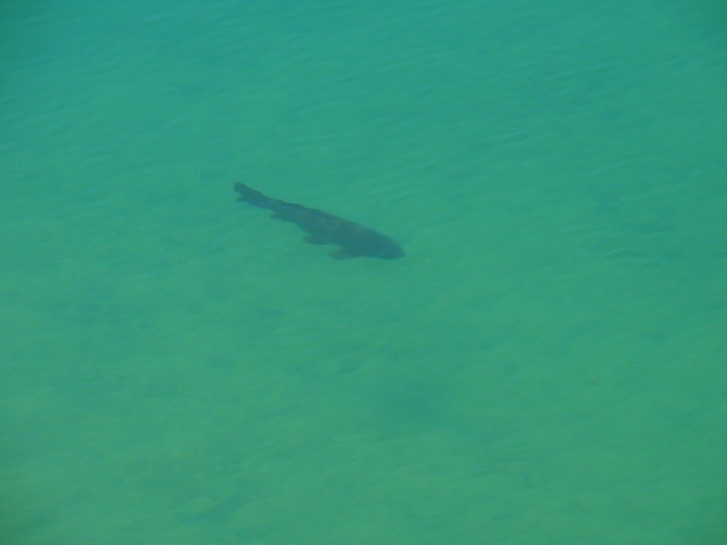 Foto: Embalse Conde del Guadalhorce - Ardales (Málaga), España