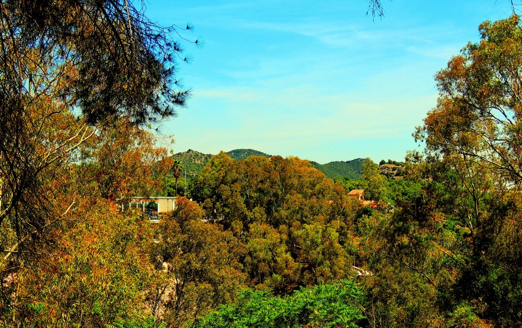Foto: Embalse Conde del Guadalhorce - Ardales (Málaga), España
