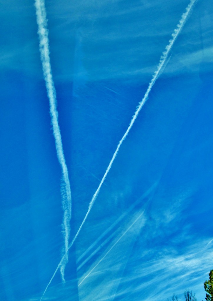 Foto: Paisaje - San Esteban de Gormaz (Soria), España