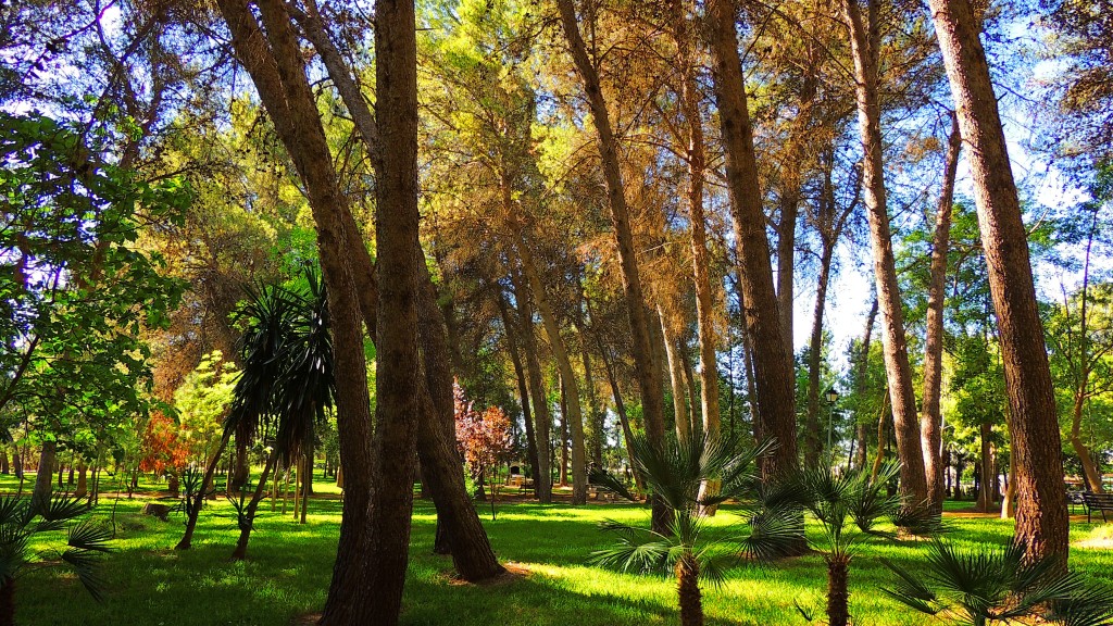 Foto de Guadalema de los Quinteros (Sevilla), España