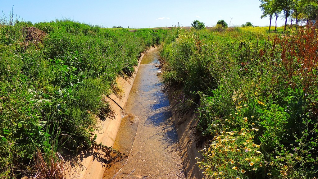 Foto: Canal Salado - Guadalema de los Quinteros (Sevilla), España