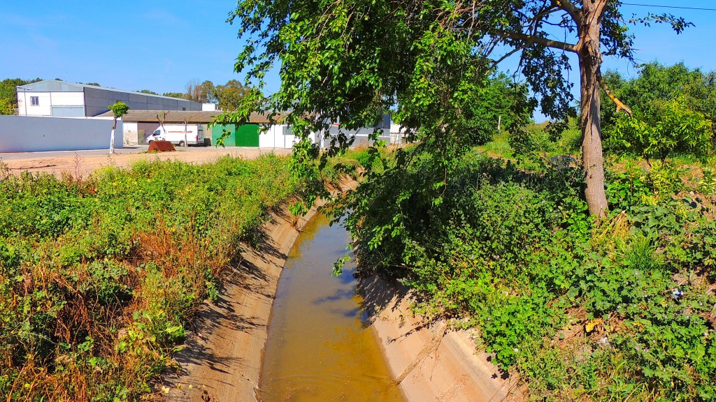 Foto: Canal Salado - Guadalema de los Quinteros (Sevilla), España