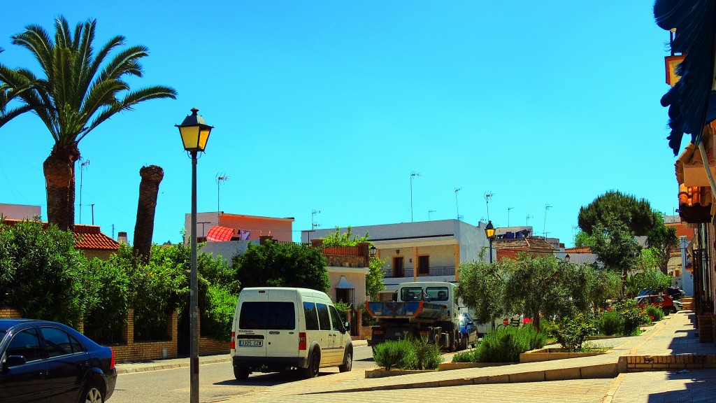Foto: Calle Gardenia - El Palmar de Troya (Sevilla), España