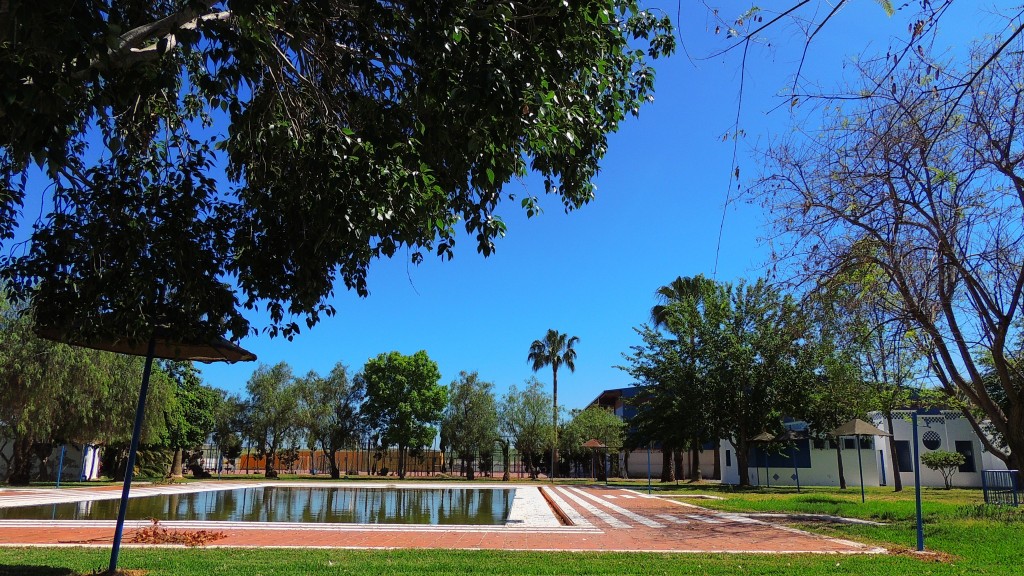 Foto: Piscina Municipal - El Palmar de Troya (Sevilla), España