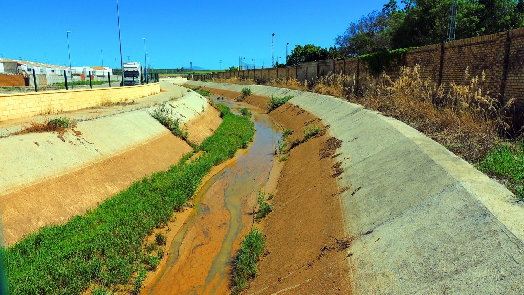 Foto: Canal - El Palmar de Troya (Sevilla), España