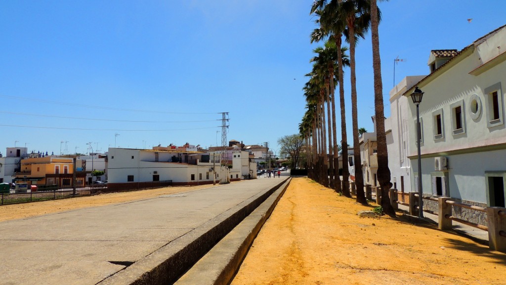 Foto: Canal Grande - El Palmar de Troya (Sevilla), España