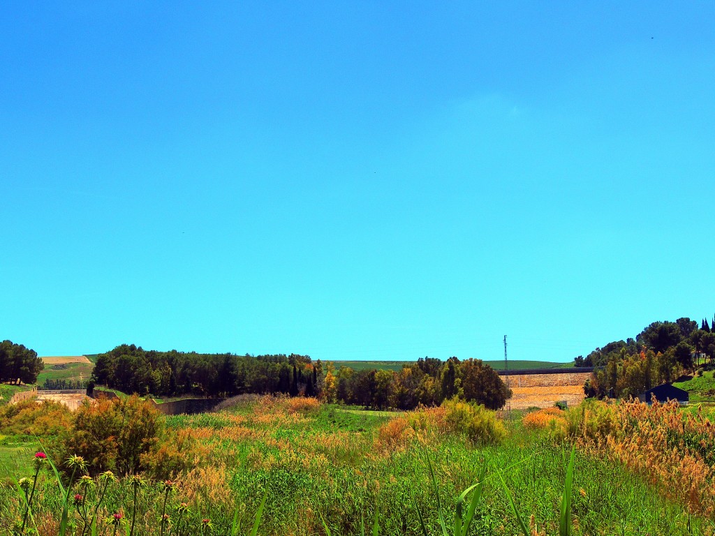 Foto: Presa Pantano del Aguila - El Palmar de Troya (Sevilla), España