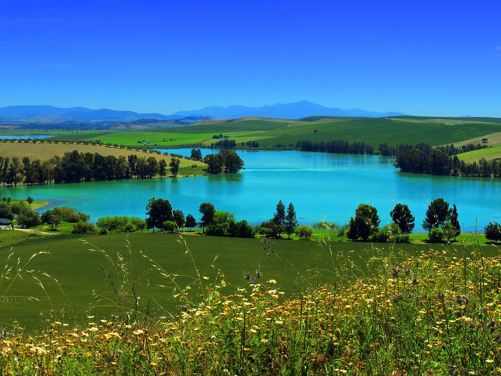 Foto: Pantano Torre del Aguila - El Palmar de Troya (Sevilla), España