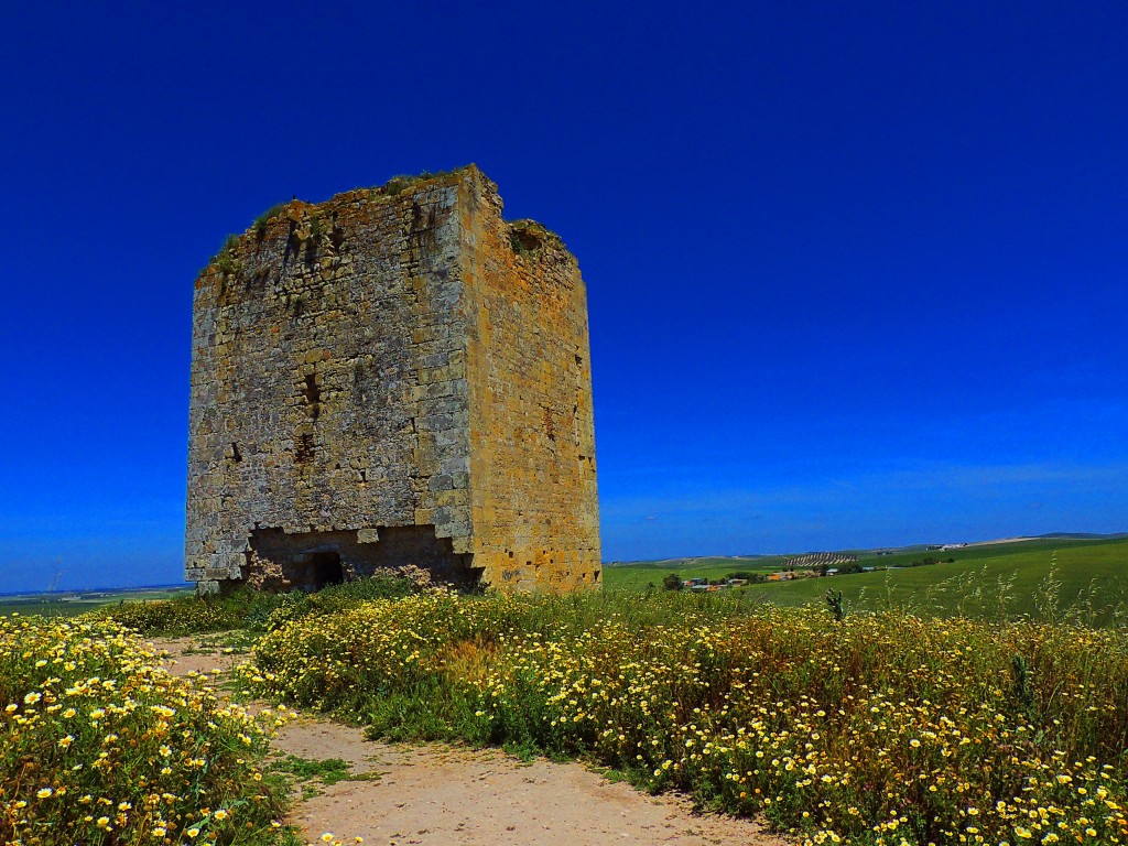 Foto: Torre del Aguila - El Palmar de Troya (Sevilla), España
