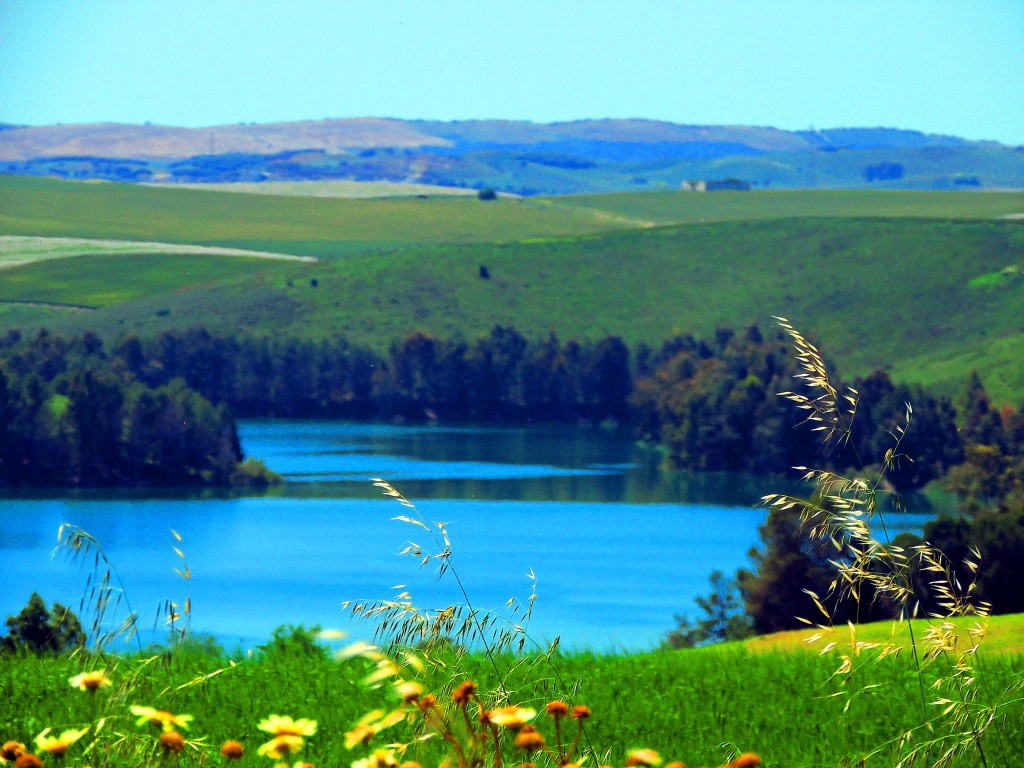 Foto: Pantano Torre del Aguila - El Palmar de Troya (Sevilla), España