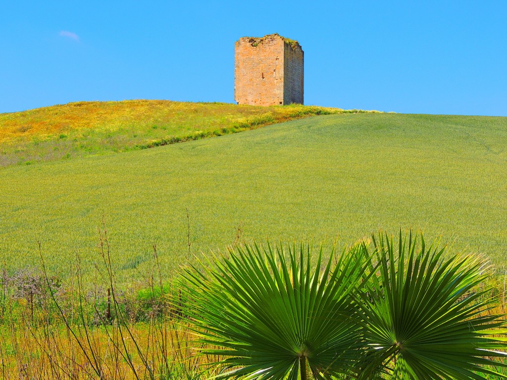 Foto: Torre del Aguila - El Palmar de Troya (Sevilla), España