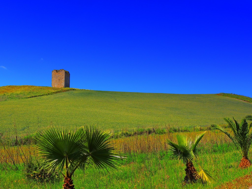Foto: Torre del Aguila - El Palmar de Troya (Sevilla), España
