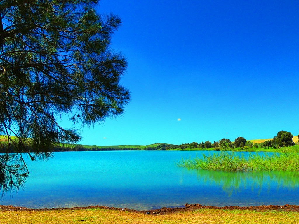Foto: Pantano Torre del Aguila - El Palmar de Troya (Sevilla), España