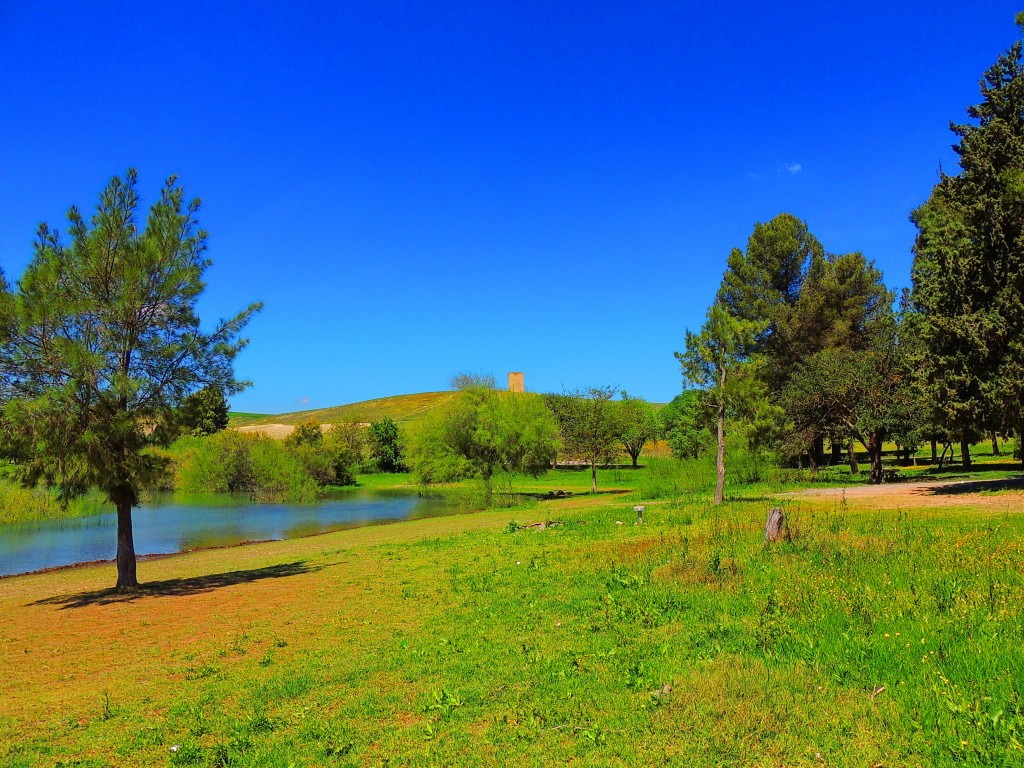 Foto: Pantano Torre del Aguila - El Palmar de Troya (Sevilla), España