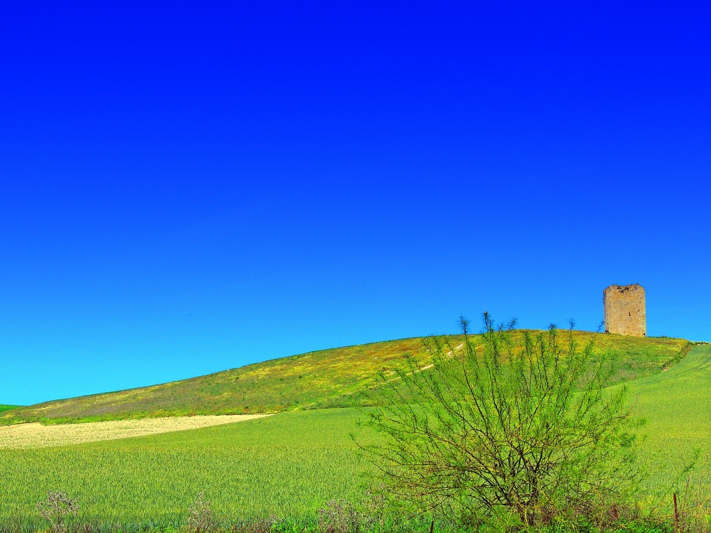 Foto: Torre del Aguila - El Palmar de Troya (Sevilla), España