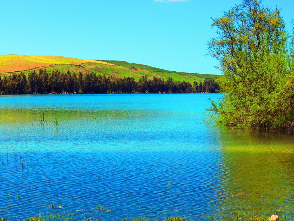 Foto: Pantano del Aguila - El Palmar de Troya (Sevilla), España