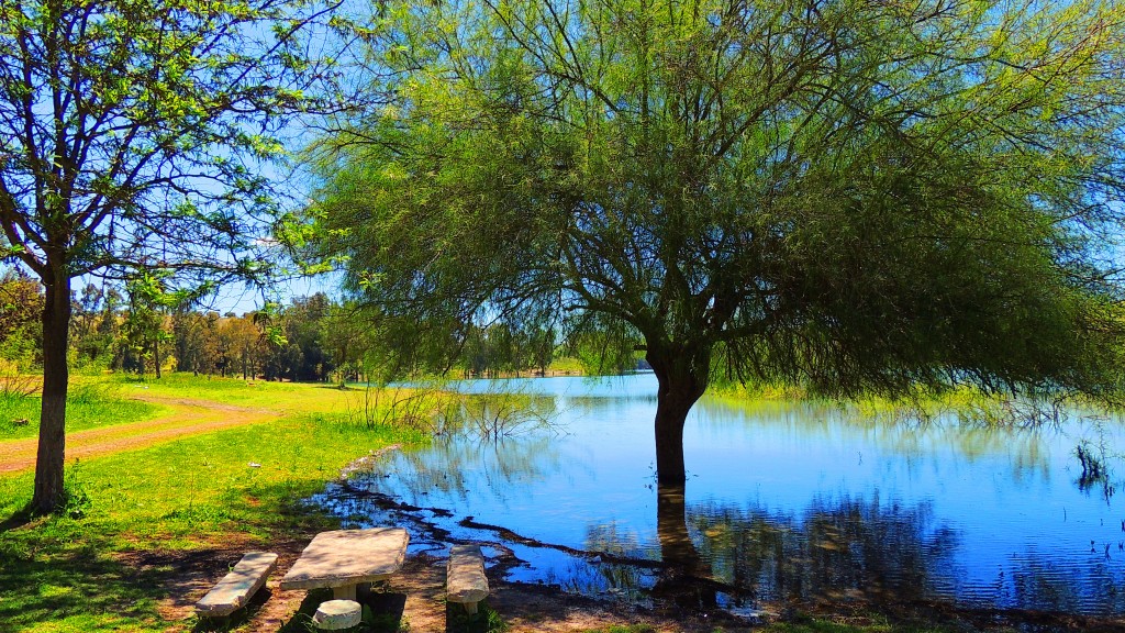 Foto: Pantano del Aguila - El Palmar de Troya (Sevilla), España