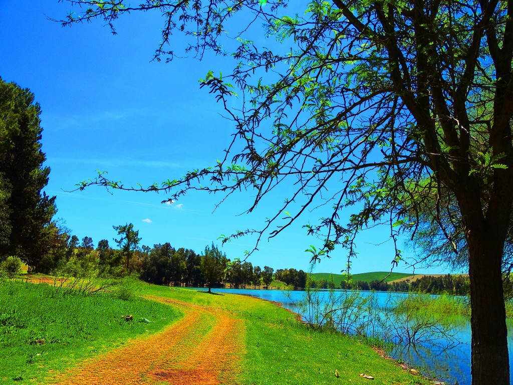 Foto: Pantano del Aguila - El Palmar de Troya (Sevilla), España
